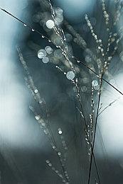 动作冒险游戏《女巫悲歌》实机预告公开